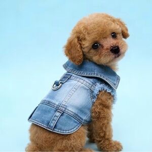 Stylish Blue Denim Dog Jacket